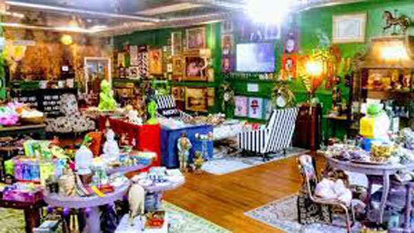 Hampton Designs Studio & Shop